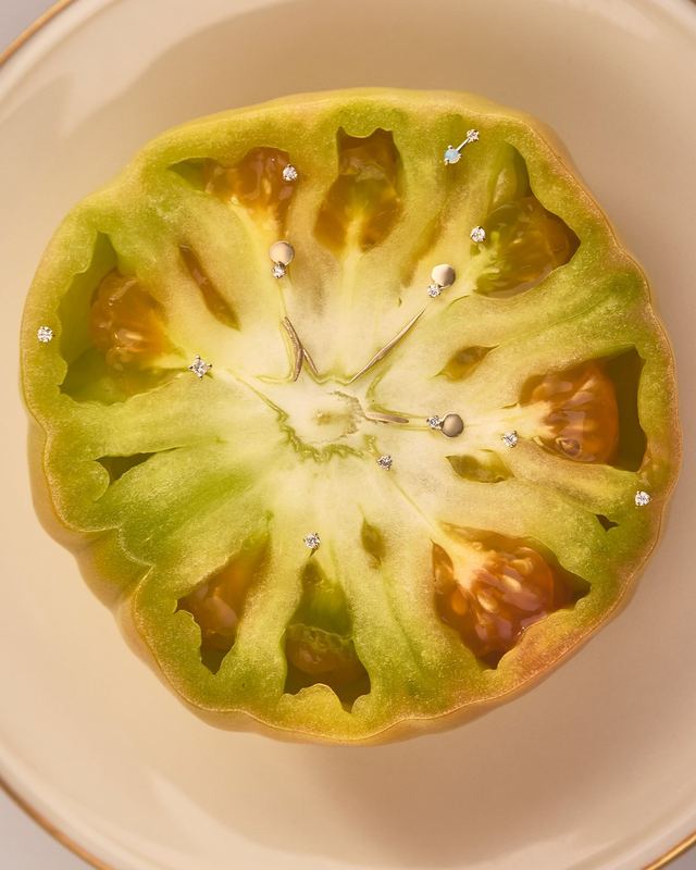 Green tomato cross section with studs, Wwake Summer by David Spector