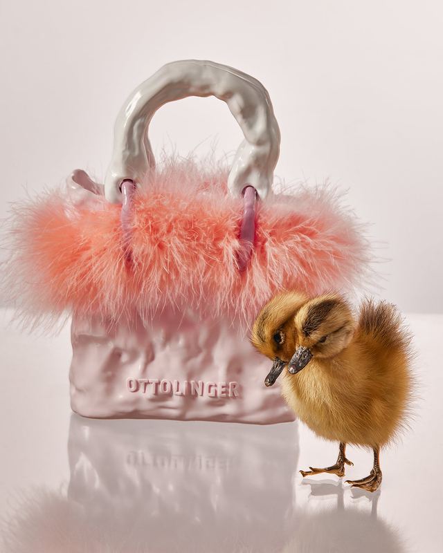 Pink fluffy bag beside a duckling, Ottolinger by David Spector