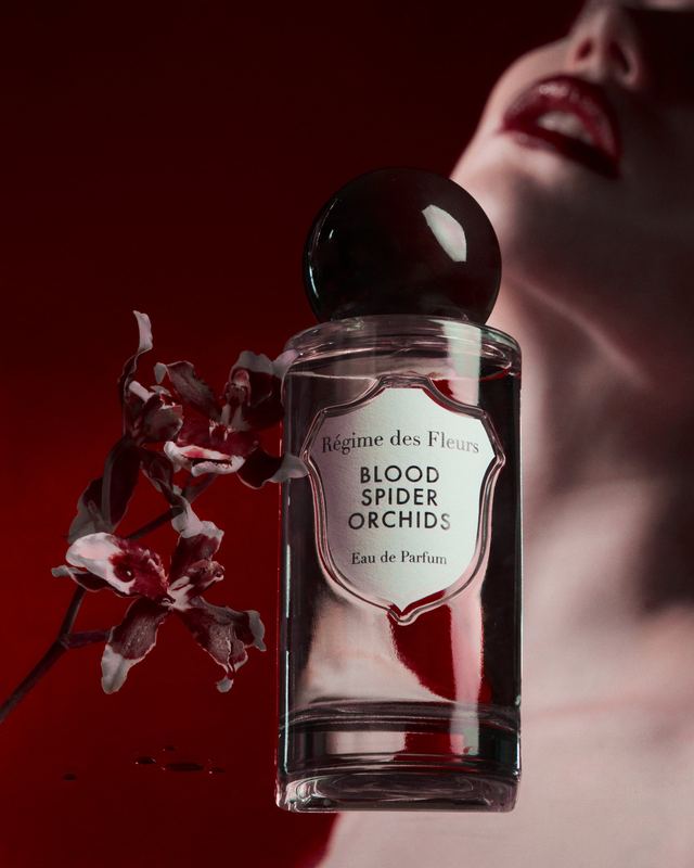 Bottle and orchid in front of a portrait, Blood Spider Orchids