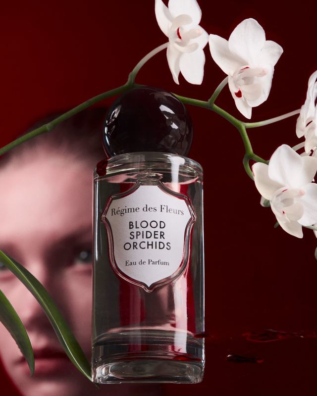 Blood Spider Orchids with white orchids, a face behind, Blood Spider Orchids by David Spector