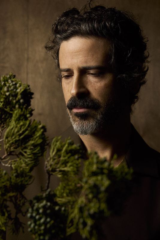 Portrait behind juniper branches, Falling Trees by David Spector