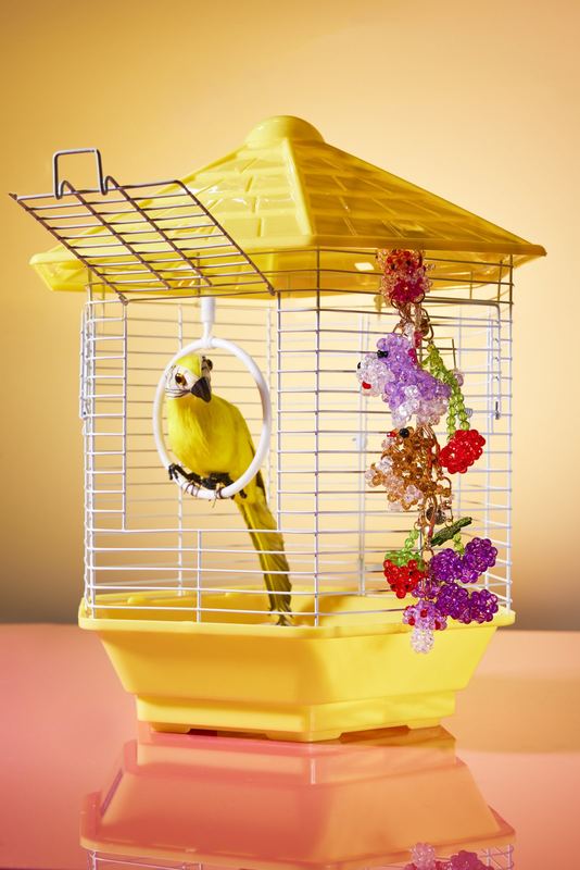 Beaded charms in a birdcage, Susan Alexandra by David Spector