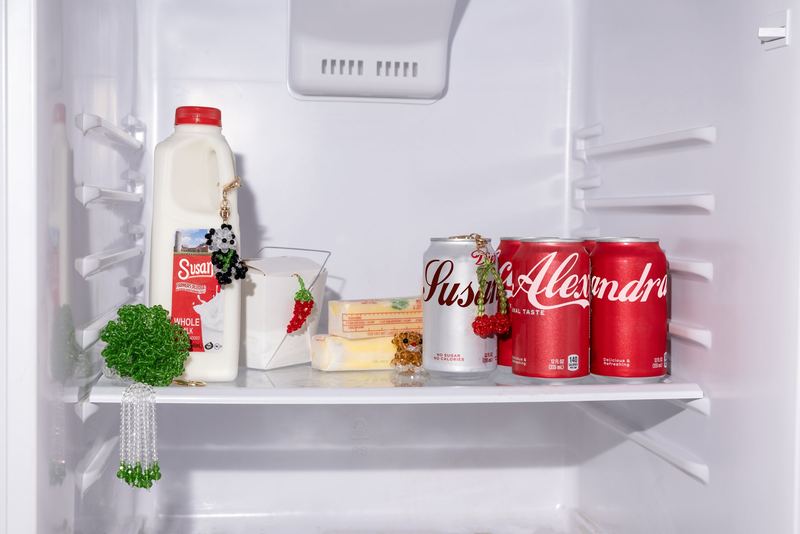 Inside a stocked refrigerator, Susan Alexandra by David Spector